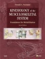 Kinesiology of the Musculoskeletal System, 2nd Edition Foundations for Rehabilitation
